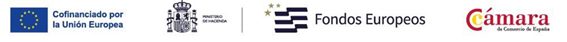 Logo Footer
